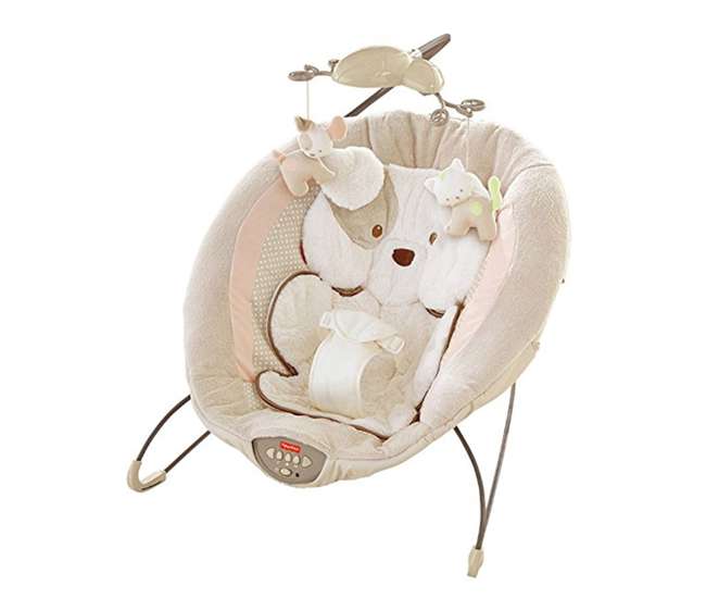 fisher price sweet snugapuppy deluxe bouncer