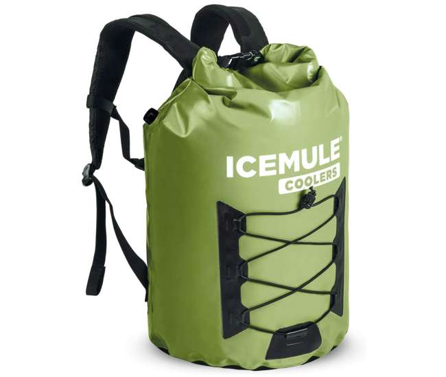 large insulated backpack