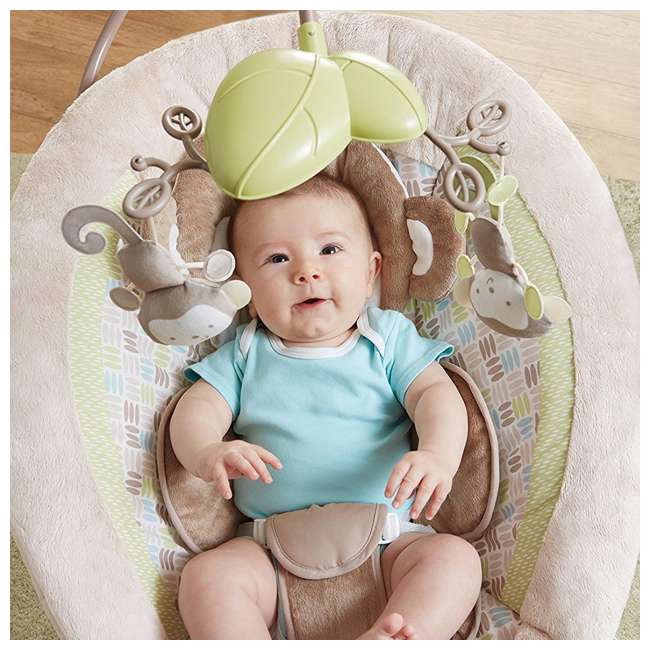 Fisher Price My Little SnugaMonkey Deluxe Infant Bouncer : BGB12