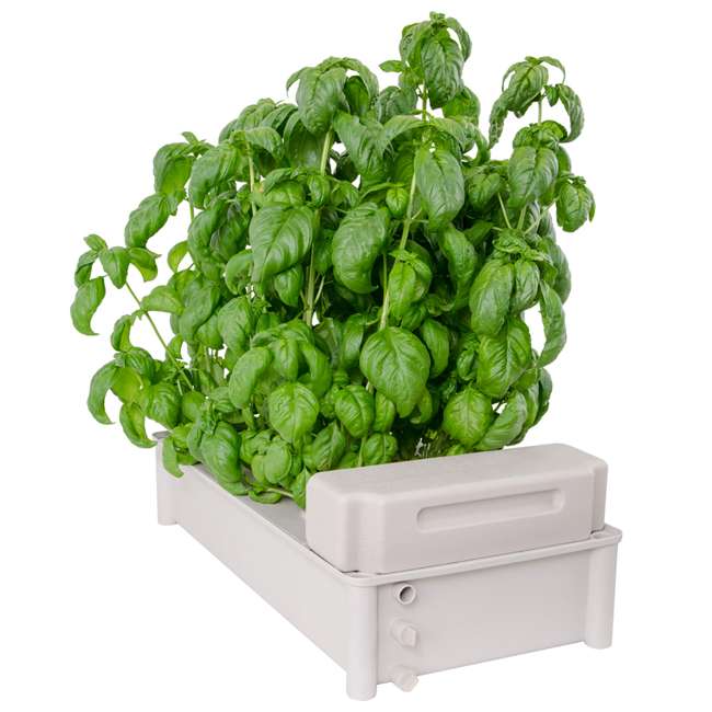 Hydrofarm Salad Box Hydroponic Salad Greens Garden Kit : GCSB