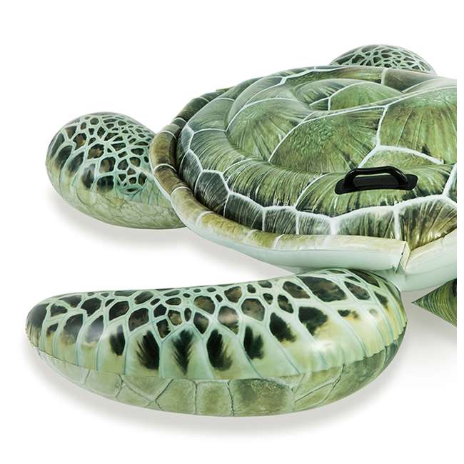 turtle floatie pool