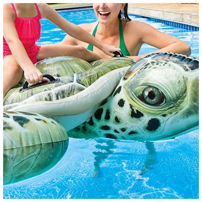 intex turtle float