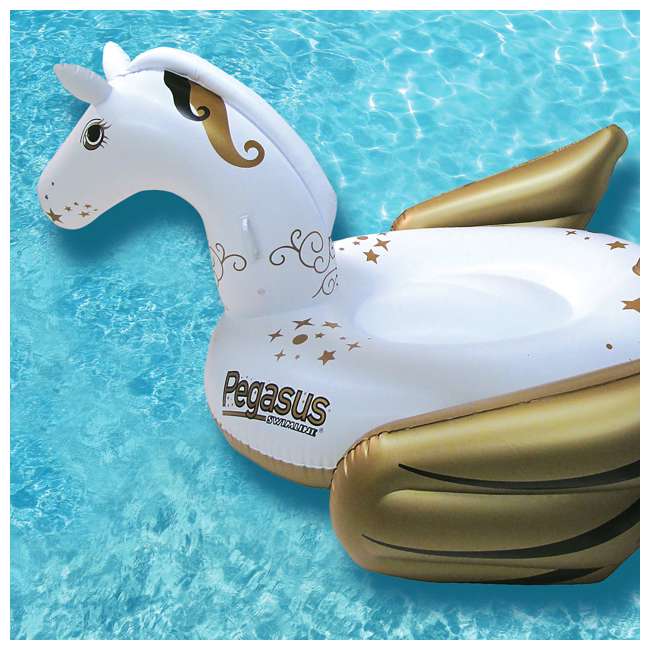 primark pegasus float