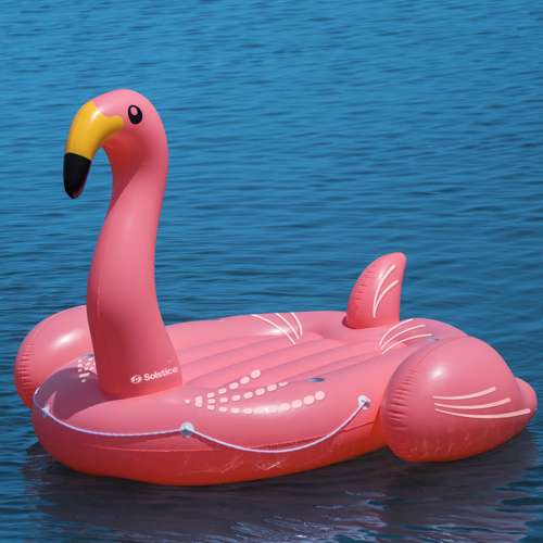 flamingo inflatable pool