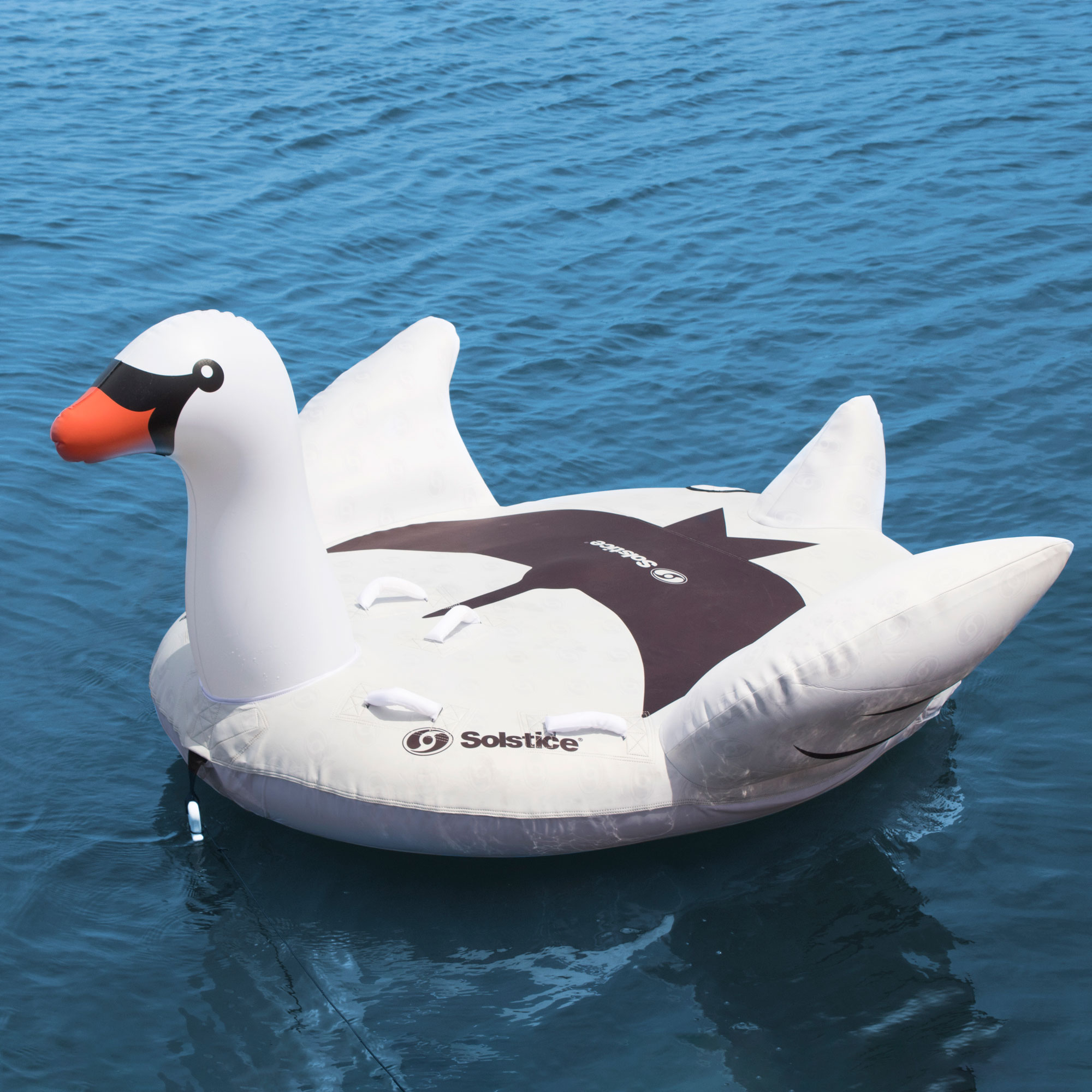 swan tube float