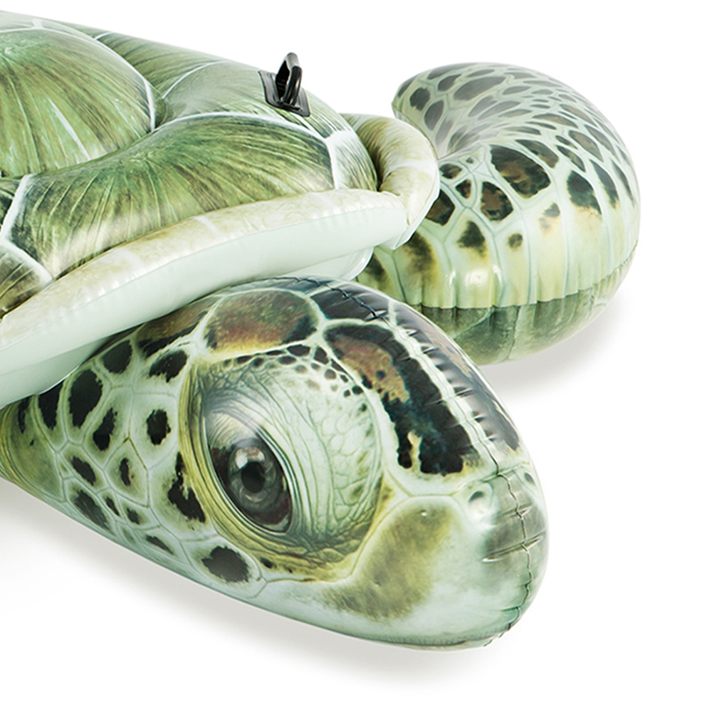 turtle pool toy